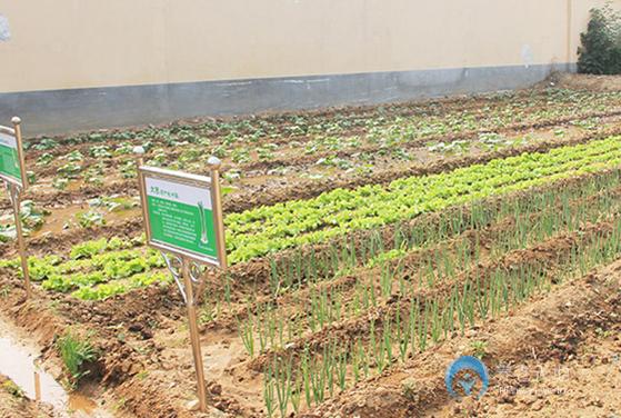 石家莊仁愛(ài)新樂(lè)養(yǎng)護(hù)院