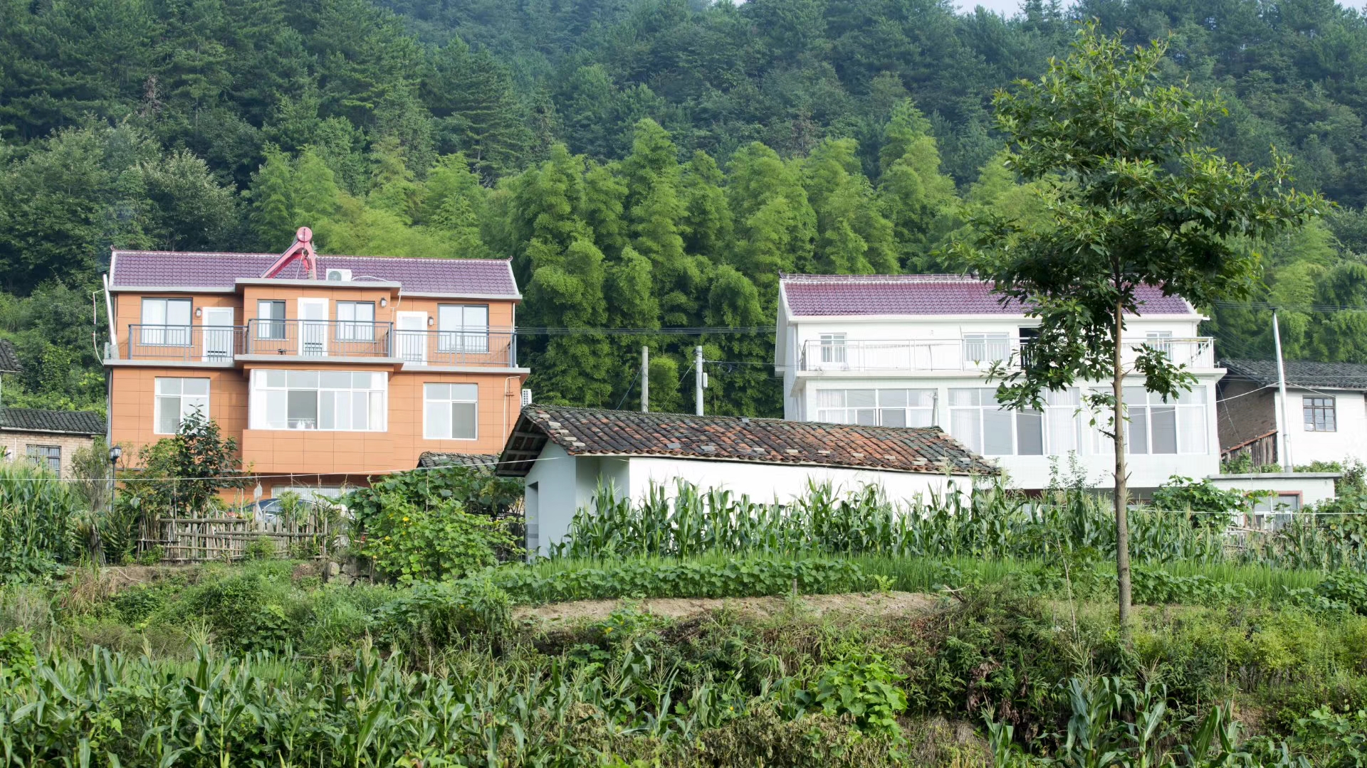安徽岳西大別山康養(yǎng)基地 安徽岳西大別山康養(yǎng)基地
