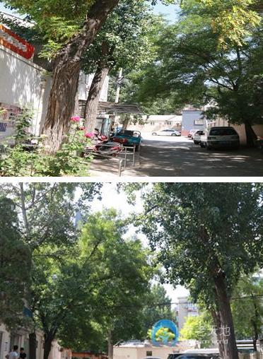 北京市朝陽區(qū)團結湖社區(qū)暮年頤樂園