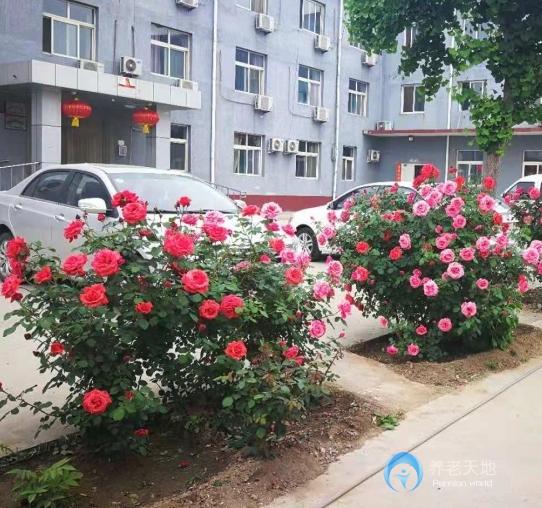 北京市順義區(qū)六福全營養(yǎng)老服務中心