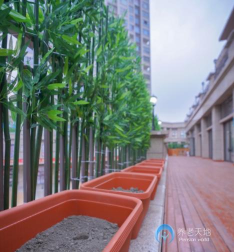 成都恩田長(zhǎng)者養(yǎng)護(hù)中心 成都恩田長(zhǎng)者養(yǎng)護(hù)中心