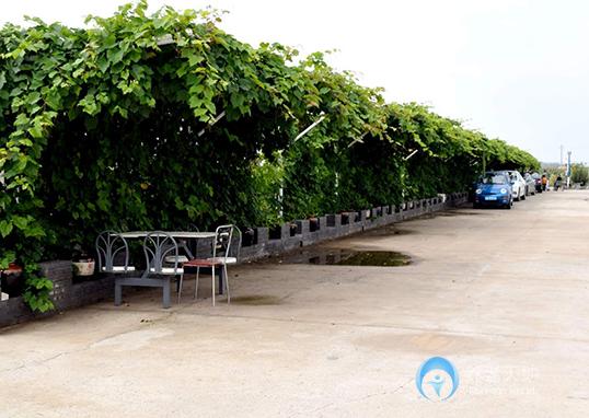 沈陽(yáng)財(cái)湖陽(yáng)光養(yǎng)老院 沈陽(yáng)財(cái)湖陽(yáng)光養(yǎng)老院