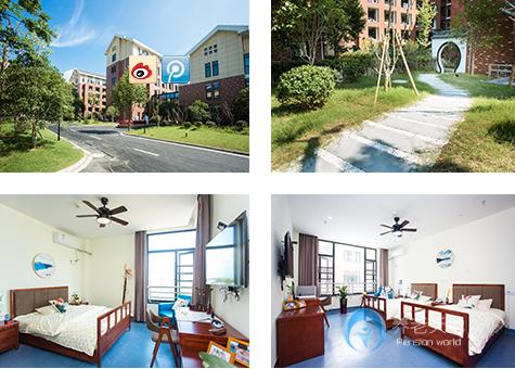 逸和源衢州恰東籬堂 逸和源衢州恰東籬堂