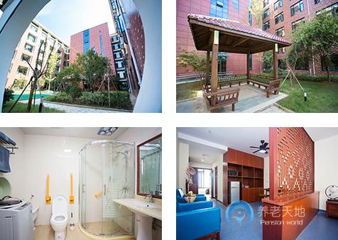 逸和源衢州恰東籬堂 逸和源衢州恰東籬堂