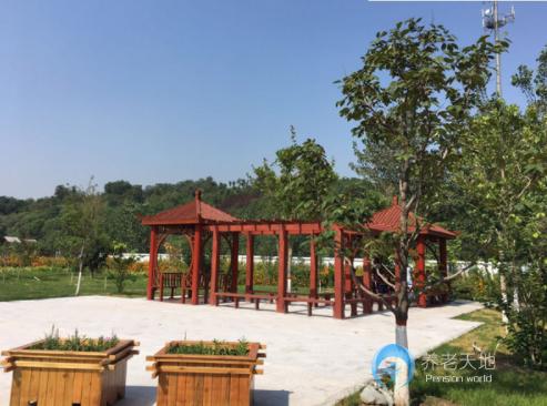 石家莊市老年養(yǎng)護(hù)院 石家莊市老年養(yǎng)護(hù)院