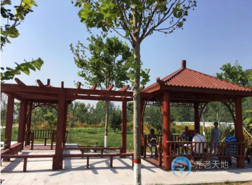 石家莊市老年養(yǎng)護(hù)院 石家莊市老年養(yǎng)護(hù)院