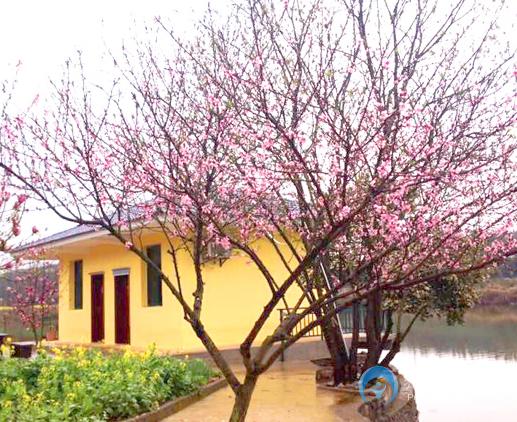 咸寧康易壽老年公寓