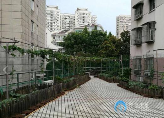 上海市徐匯區(qū)楓林街道敬老院 上海市徐匯區(qū)楓林街道敬老院