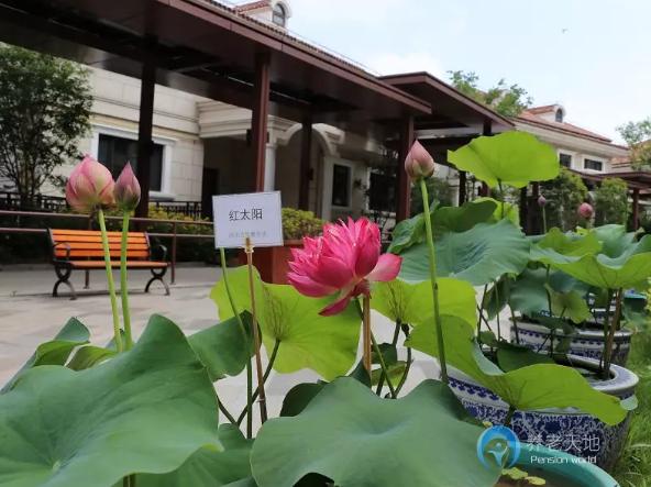 上海市嘉定區(qū)遠(yuǎn)洋·椿萱茂虹灣長者社區(qū) 上海市嘉定區(qū)遠(yuǎn)洋·椿萱茂虹灣長者社區(qū)