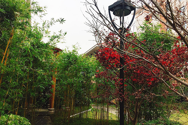 福州市國(guó)德老年康養(yǎng)中心（福州社會(huì)福利中心）