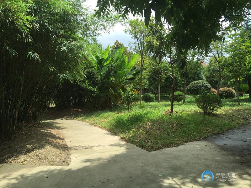 上海大眾養(yǎng)老院 上海大眾養(yǎng)老院