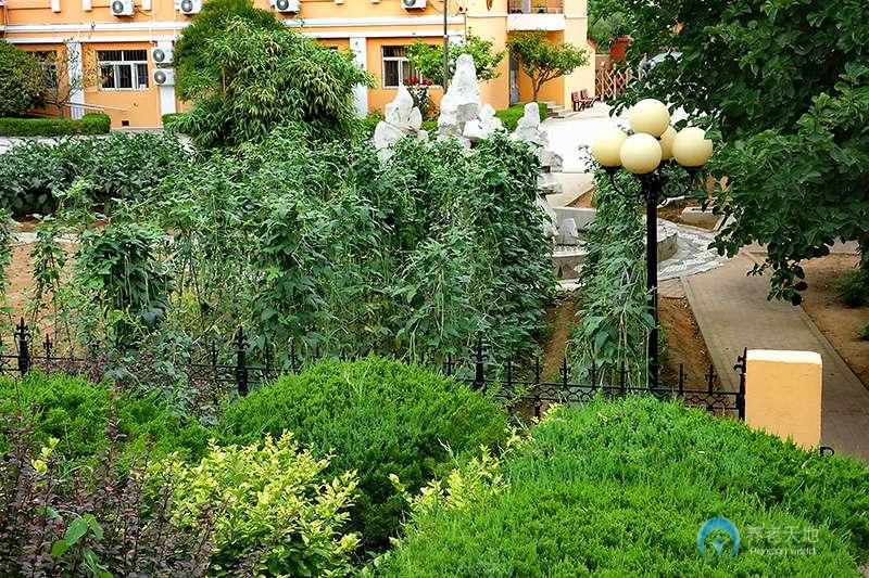 山東省青島市李滄區(qū)社會(huì)福利院 山東省青島市李滄區(qū)社會(huì)福利院