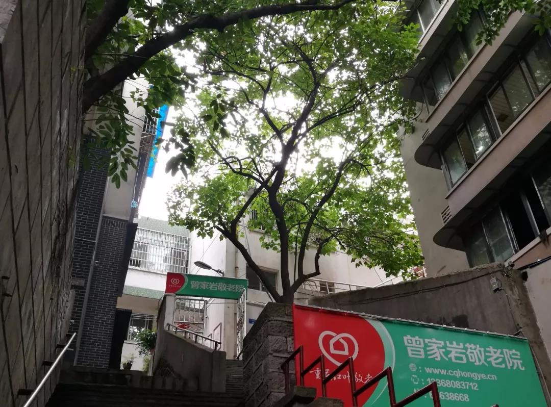 惠源家曾家?guī)r養(yǎng)老院 惠源家曾家?guī)r養(yǎng)老院