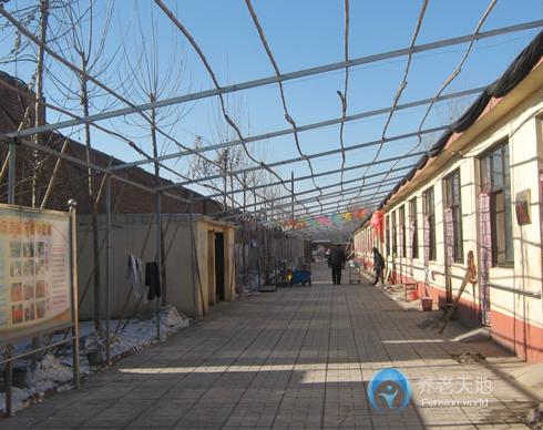 河北省新樂市頤樂老年公寓 河北省新樂市頤樂老年公寓