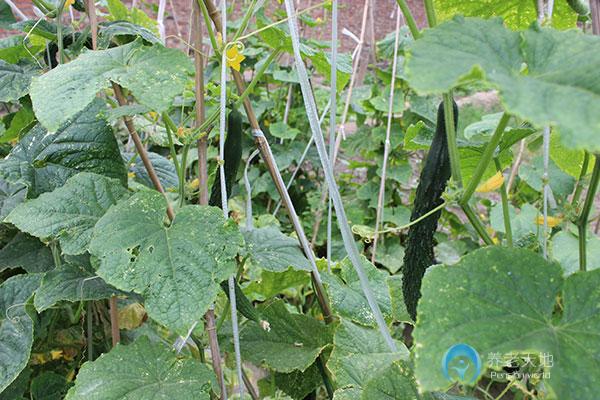 天津市西青區(qū)為善園養(yǎng)老院