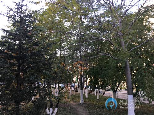 沈陽市于洪區(qū)誠博愛心養(yǎng)老院 沈陽市于洪區(qū)誠博愛心養(yǎng)老院