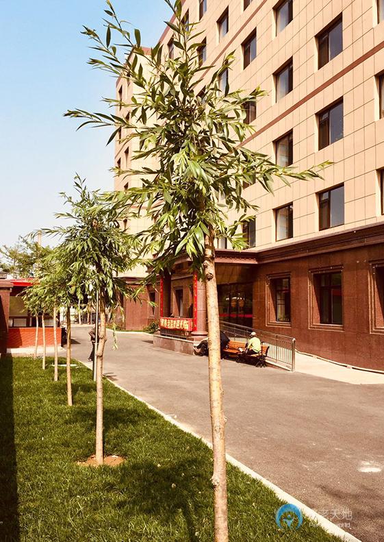 大連錦潤(rùn)養(yǎng)老院 大連錦潤(rùn)養(yǎng)老院