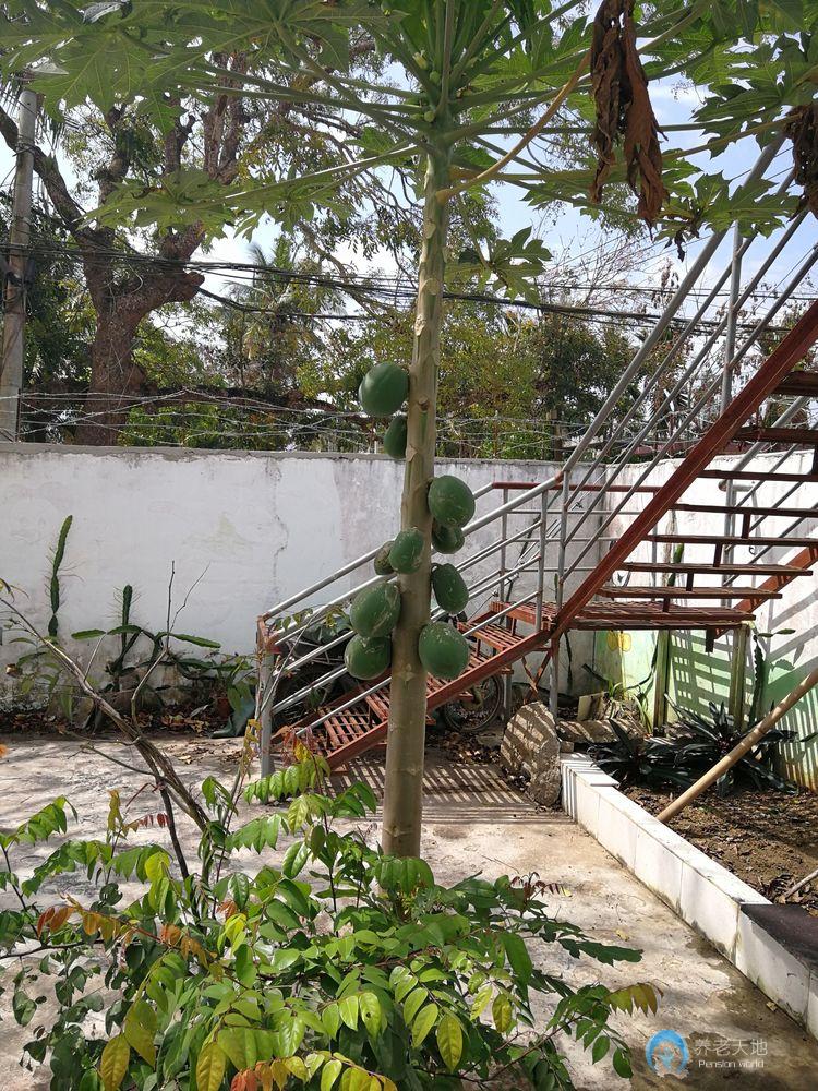 三亞順意緣老年度假公寓 三亞順意緣老年度假公寓