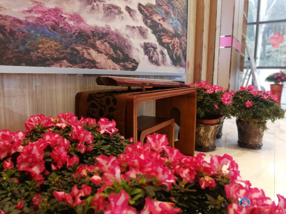 易禾康養(yǎng)中心 易禾康養(yǎng)中心