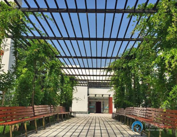 上海金色晚霞護理院 上海金色晚霞護理院