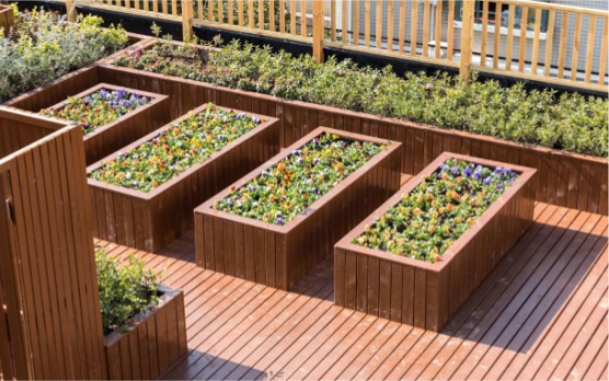 上海閔行艾為康長(zhǎng)者照護(hù)之家 上海閔行艾為康長(zhǎng)者照護(hù)之家