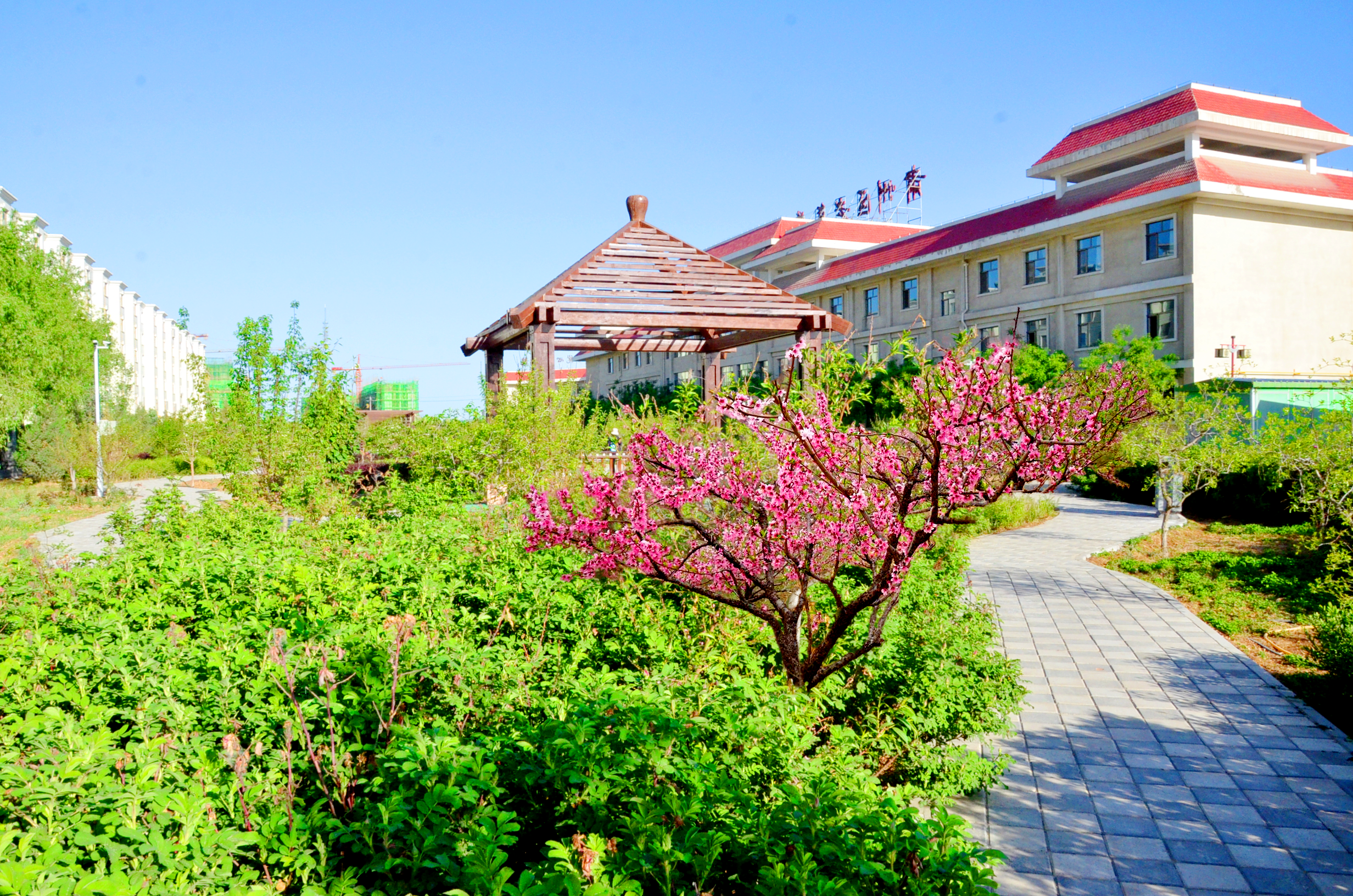 肅州區(qū)老年養(yǎng)護院 肅州區(qū)老年養(yǎng)護院