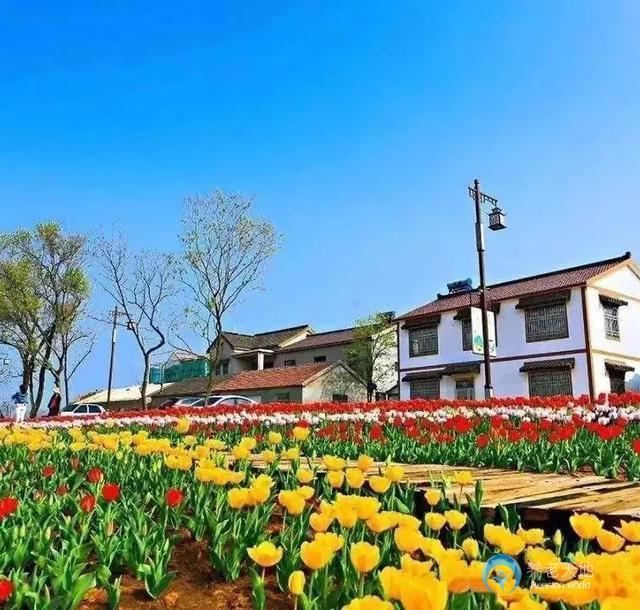 南京悅?cè)A康養(yǎng)谷 南京悅?cè)A康養(yǎng)谷