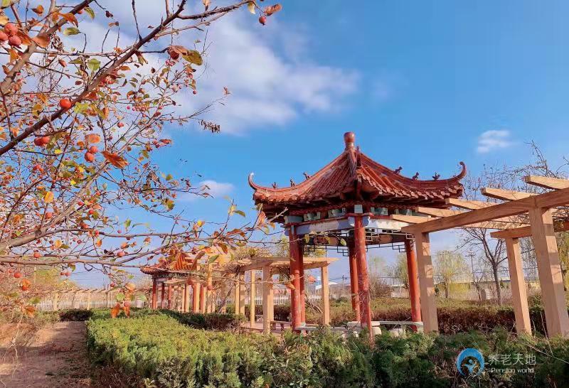 東營墾利區(qū)悠然亭頤養(yǎng)中心 東營墾利區(qū)悠然亭頤養(yǎng)中心