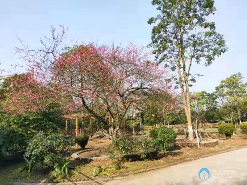 南充孝心一號(hào)花園式老年公寓 南充孝心一號(hào)花園式老年公寓