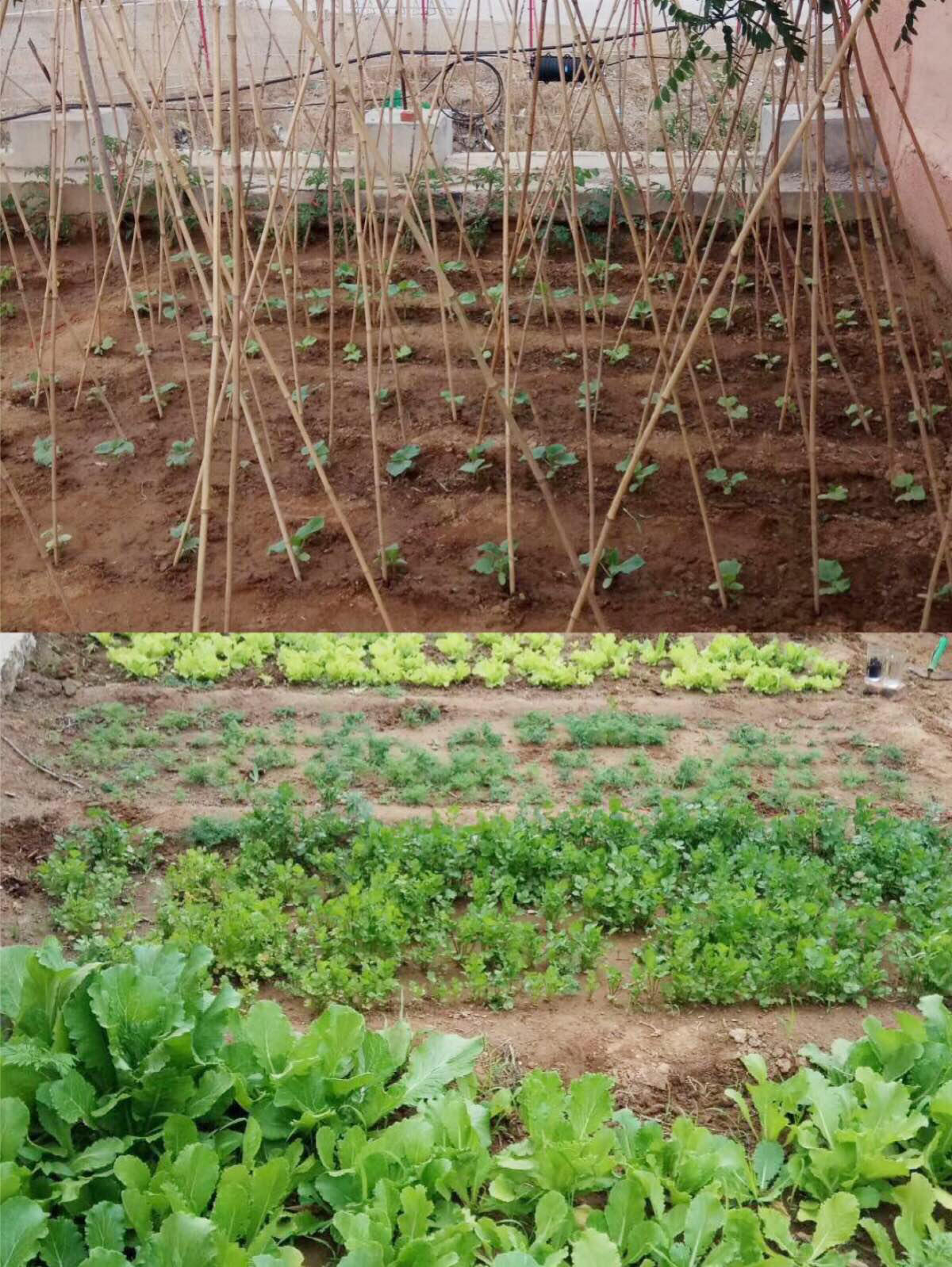 葫蘆島市龍港區(qū)仁愛(ài)老年護(hù)理院