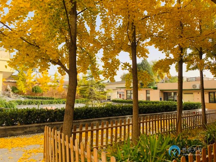 北京市普親長辛店老年養(yǎng)護(hù)中心 北京市普親長辛店老年養(yǎng)護(hù)中心