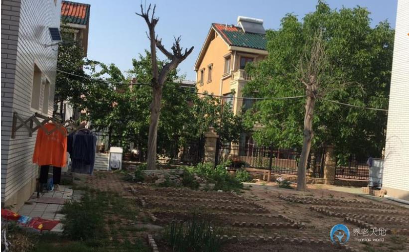 天津陶樂養(yǎng)老院(西青分院) 天津陶樂養(yǎng)老院(西青分院)