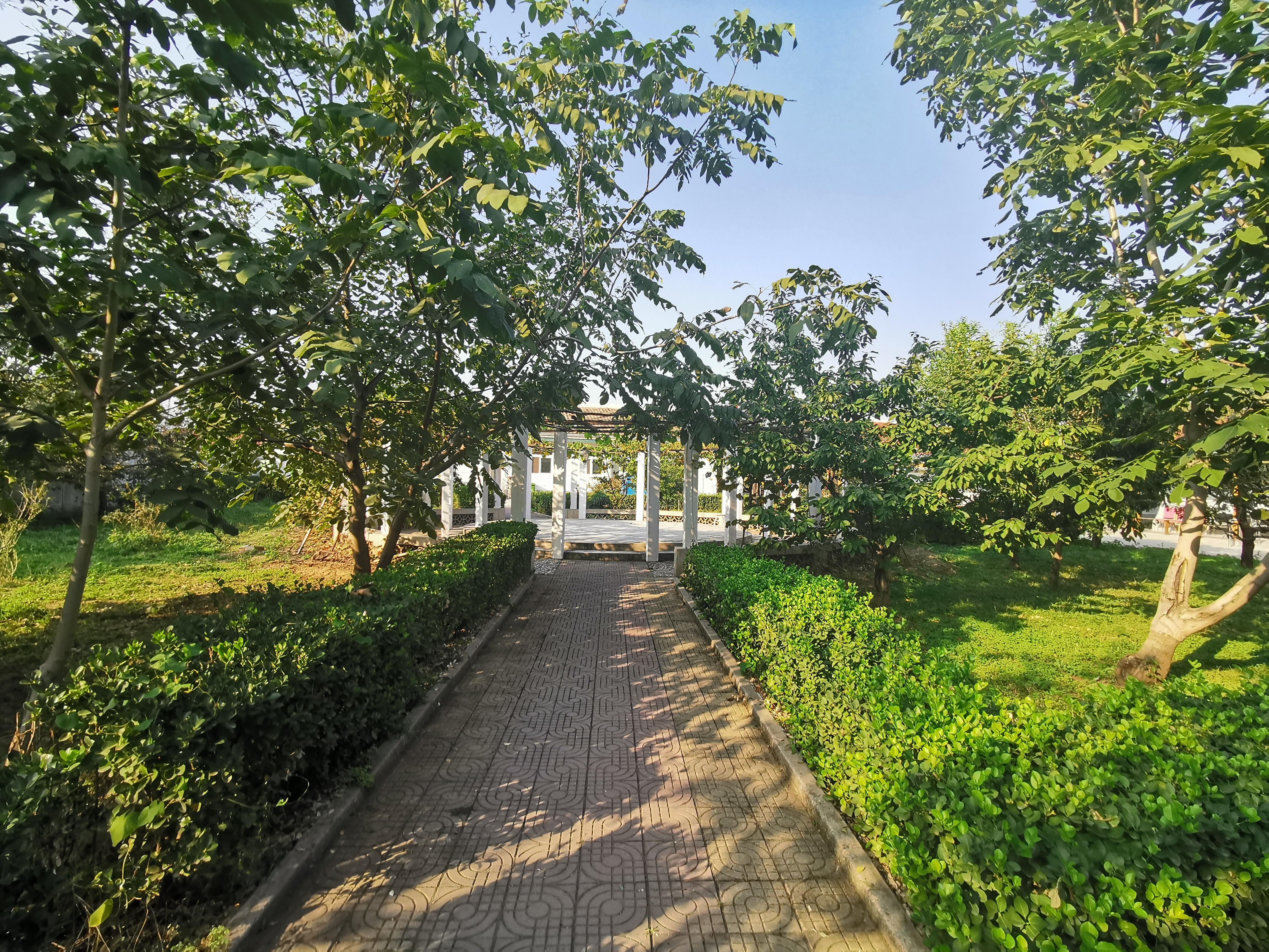 北京千禾養(yǎng)老(認(rèn)知癥照護(hù)基地) 北京千禾養(yǎng)老(認(rèn)知癥照護(hù)基地)