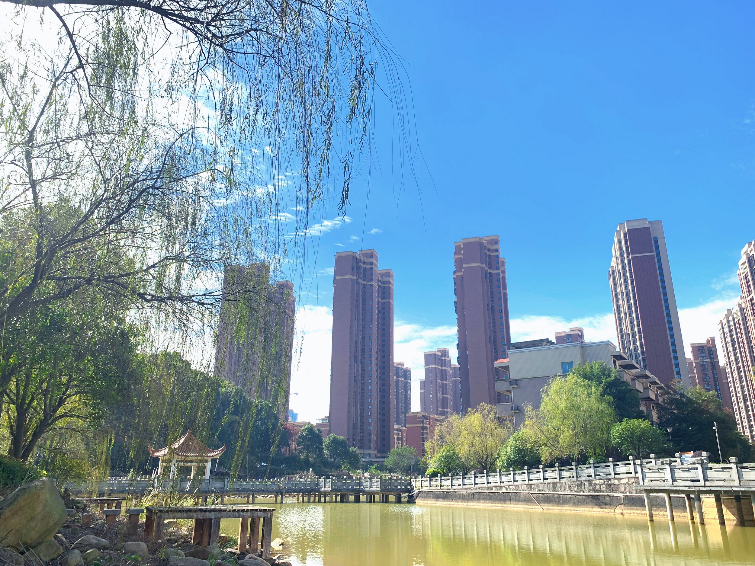 長沙康乃馨養(yǎng)老呵護中心 長沙康乃馨養(yǎng)老呵護中心