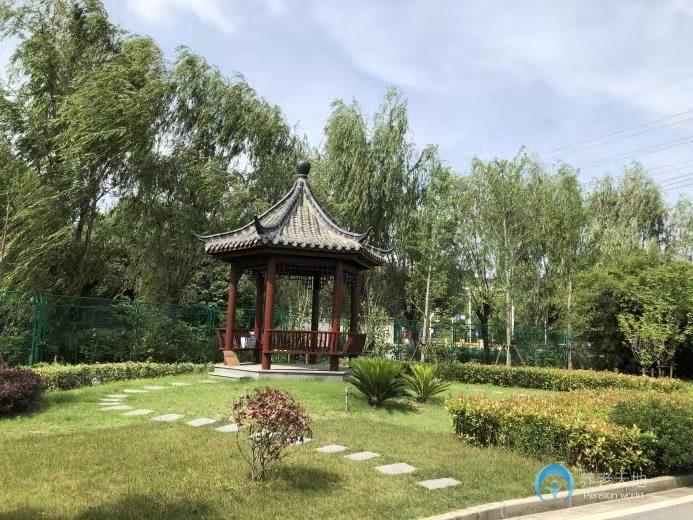 上海青浦區(qū)白鶴養(yǎng)護(hù)院