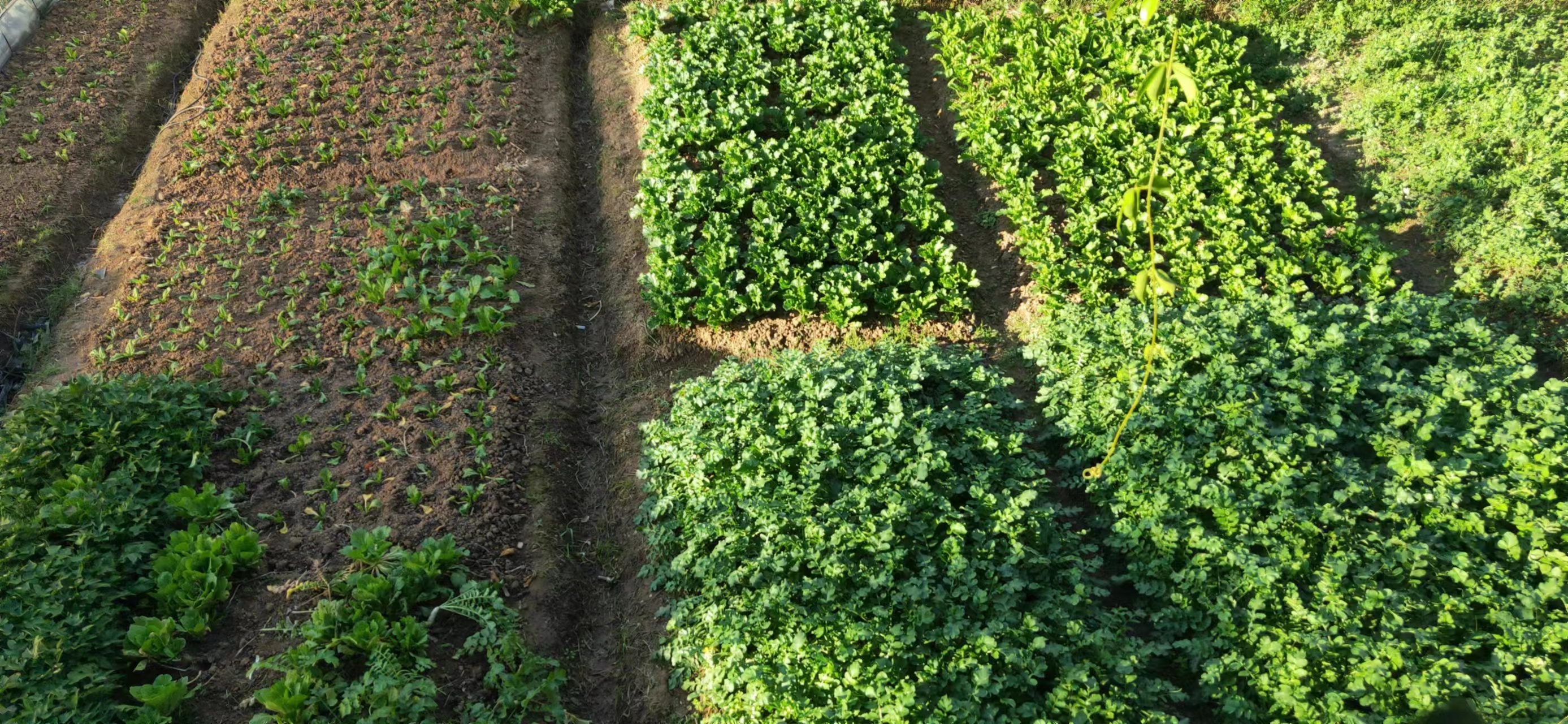 昆明盛愛老年公寓