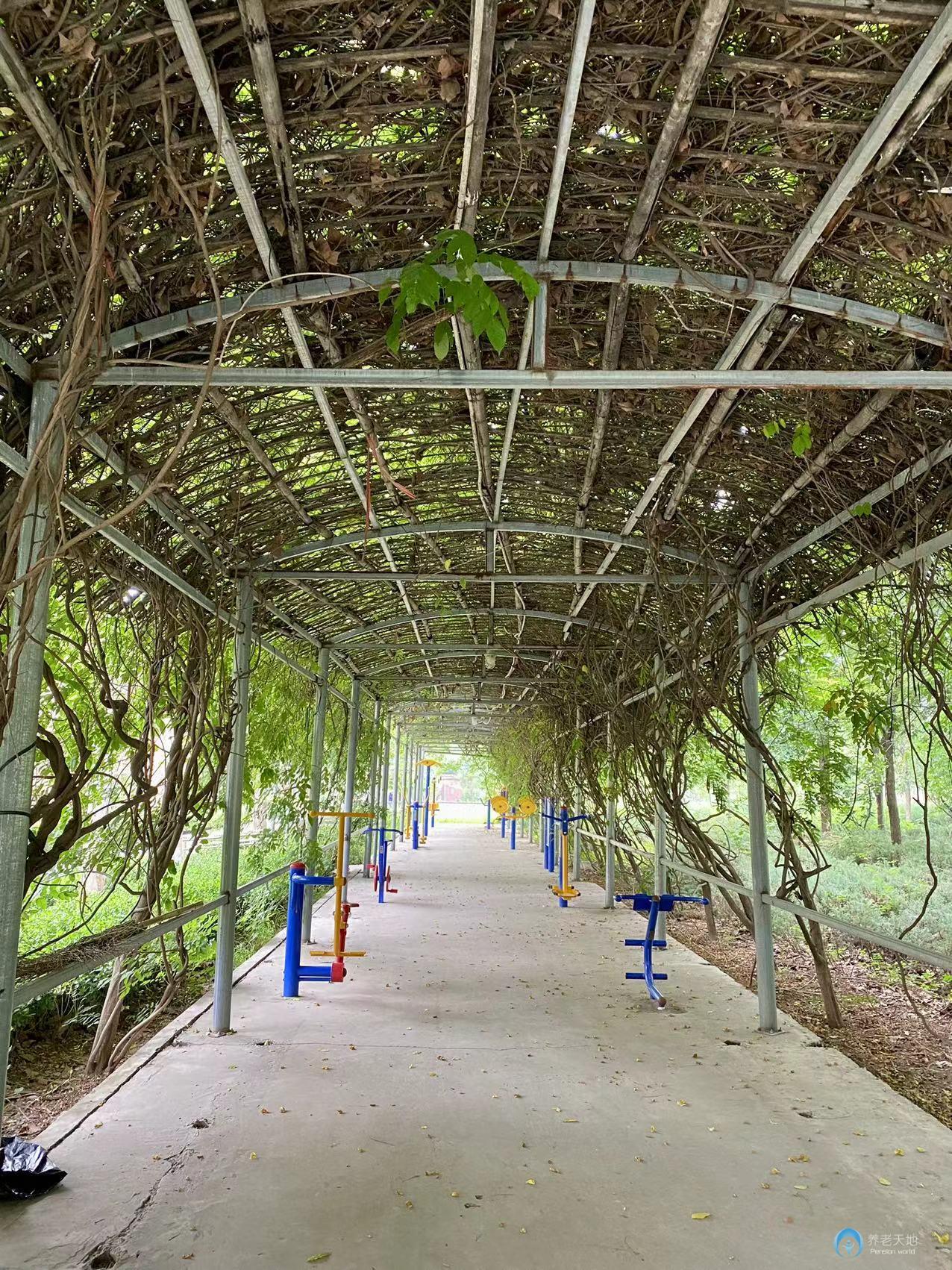 北京君和養(yǎng)老朝陽分院（主要接收精神疾病老人）