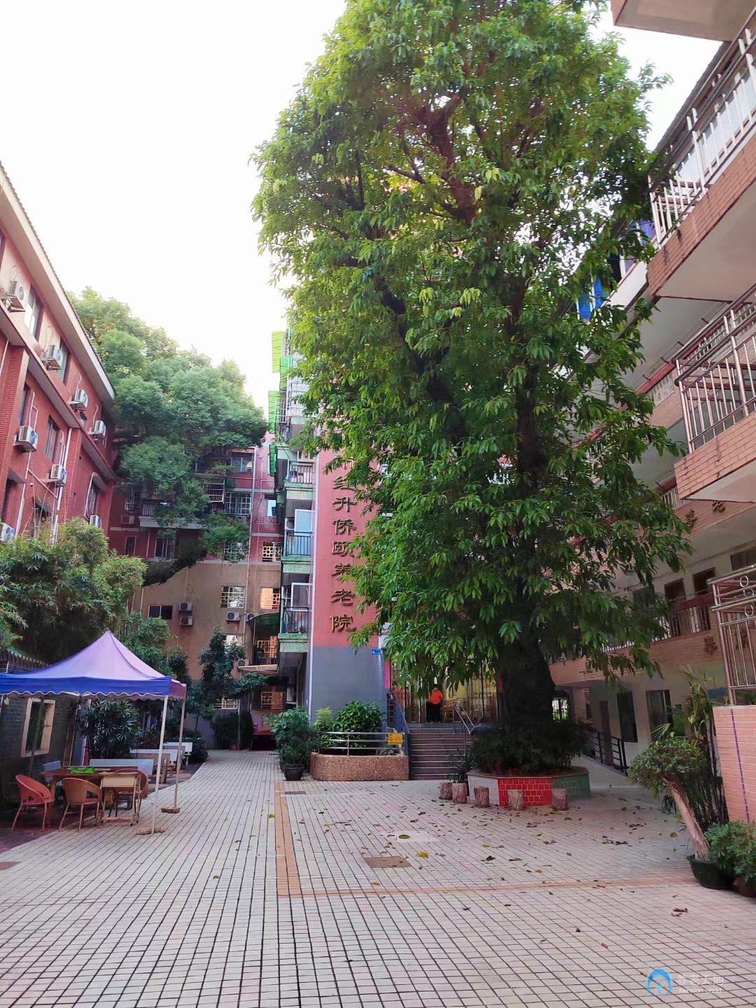 廣州市紅升僑頤養(yǎng)老院 廣州市紅升僑頤養(yǎng)老院