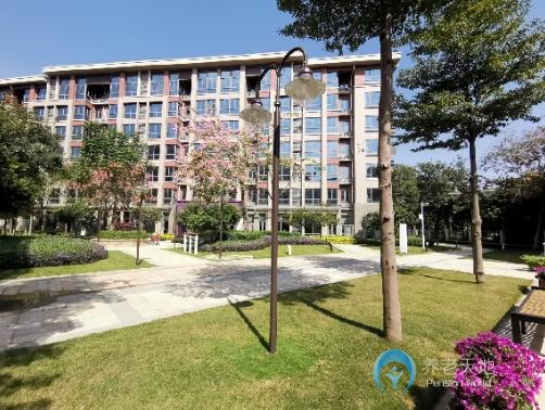 廣州太平小鎮(zhèn)木棉人家 廣州太平小鎮(zhèn)木棉人家