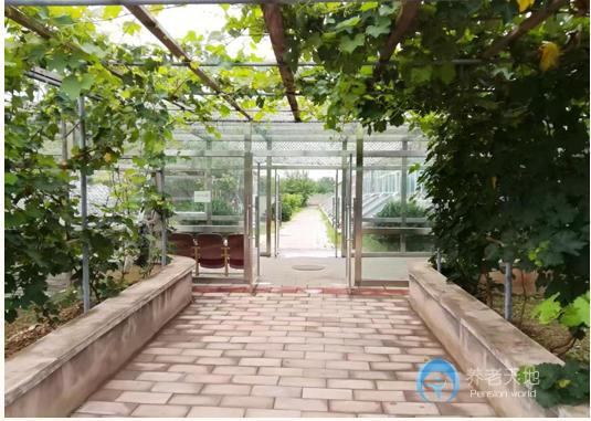 北京市昌平區(qū)鷗情老年頤養(yǎng)院