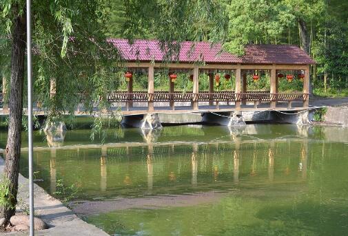 1512558557901079518.jpg QQ截圖20171206190847.jpg