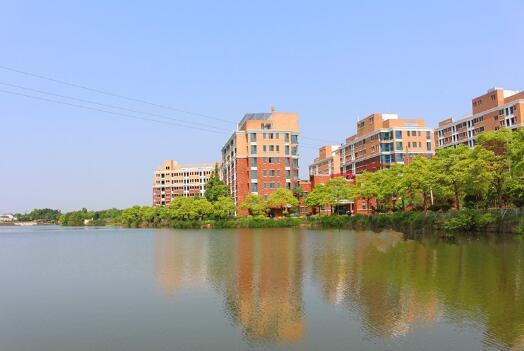 1512561028403045561.jpg 5.jpg