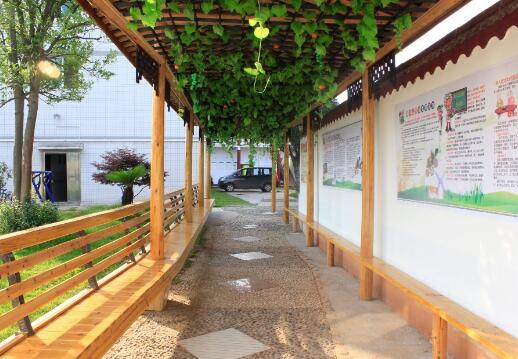 1512611152929055274.jpg 3.jpg