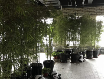 1512615422764014692.jpg 2017110546510.jpg