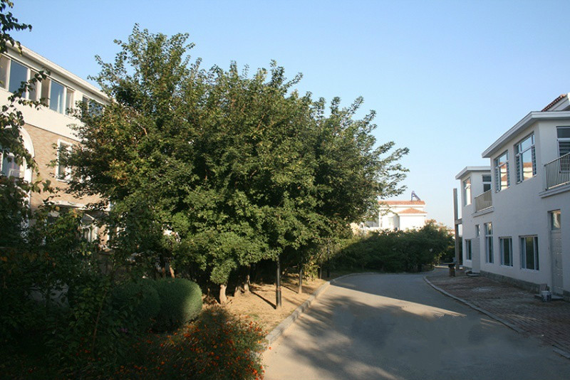 1512616693451085863.jpg 2017110546510.jpg