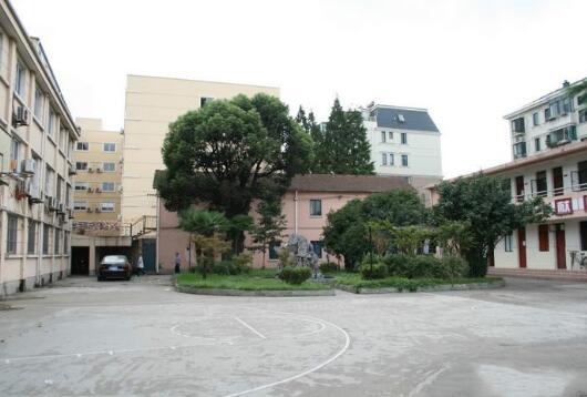 1512617538155051510.jpg 6.jpg