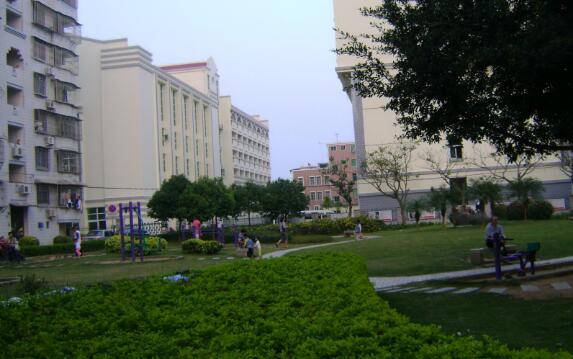 1512629250808082583.jpg 2.jpg