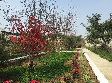 1512630335813021705.jpg 23.jpg