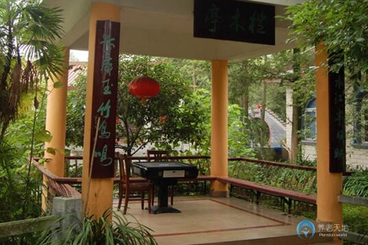 1512632076138049836.jpg 8.jpg