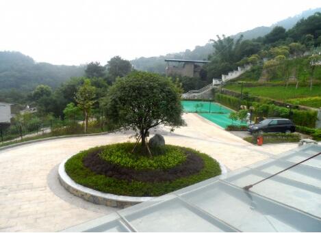 1512634125748087818.jpg 1.jpg